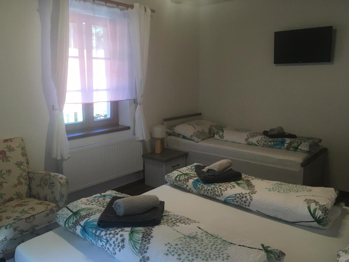 Zevluv Mlyn Hotel Nové Hrady Buitenkant foto