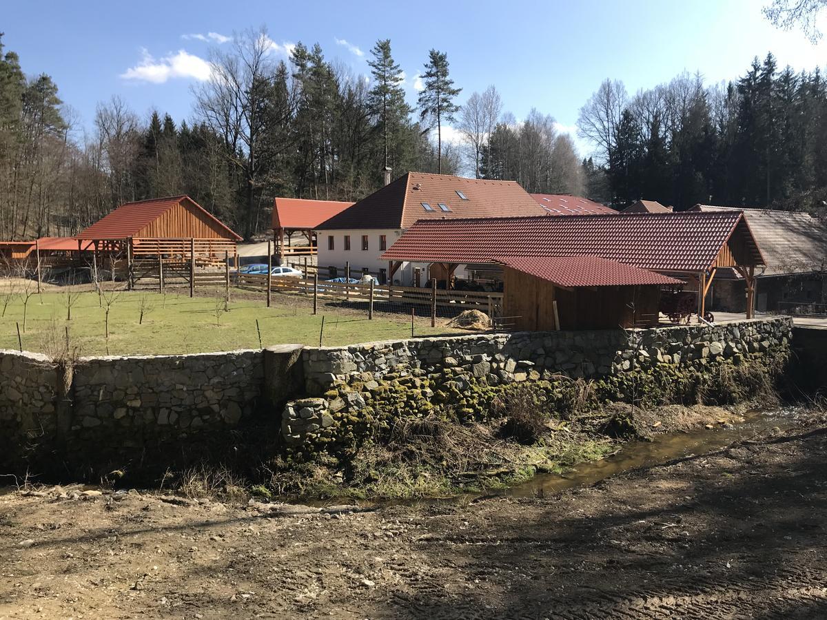 Zevluv Mlyn Hotel Nové Hrady Buitenkant foto