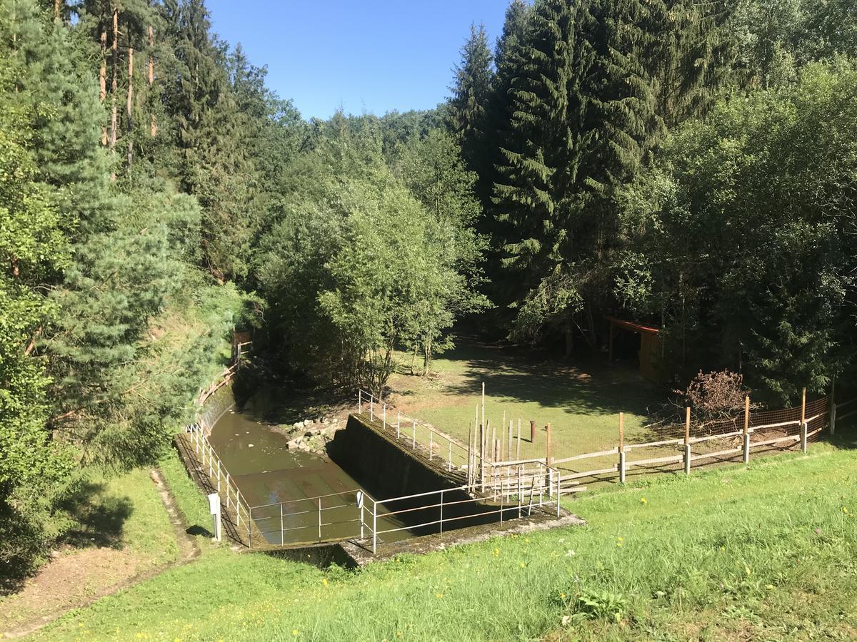 Zevluv Mlyn Hotel Nové Hrady Buitenkant foto